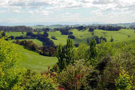 Bellview Hill - Hotel NSW 2
