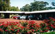Whispering Gums Motel - thumb 0