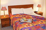 Homestead Motor Inn And Apartments - Hotel NSW 0