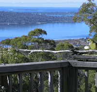 Bed in the Treetops - Hotel NSW