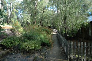 Evedon Park Bush Resort - Hotel NSW 2