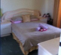 Lake Illawarra Bed & Breakfast - Hotel NSW 2