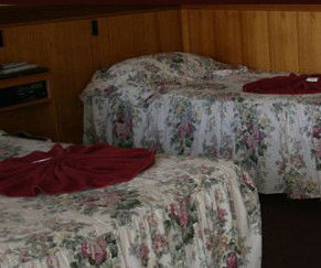 County Lodge Motel - Hotel NSW 1
