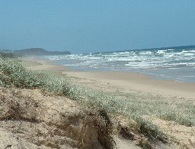 Beachcomber Peregian Beach - Hotel NSW 4