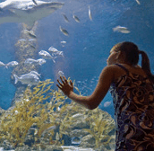 The Aquarium Of Western Australia - Hotel NSW 0