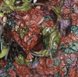 Jan Murphy Gallery - Hotel NSW 3