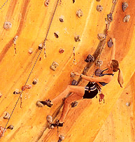 Rocksports Indoor Climbing - Hotel NSW