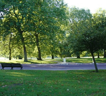 New Farm Park - Hotel NSW