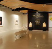 Counihan Gallery In Brunswick - Hotel NSW