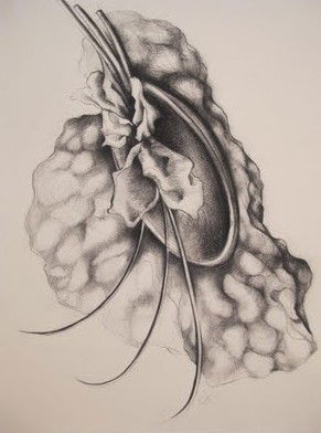 The Library Artspace - Hotel NSW 1