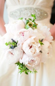 Karralyka Centre - Hotel NSW 3