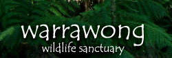 Warrawong Wildlife Park - Hotel NSW 0