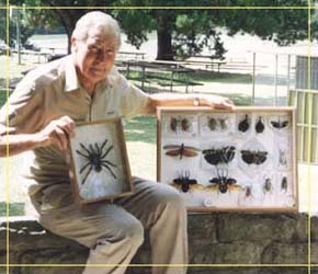 Butterfly Farm - Hotel NSW 1