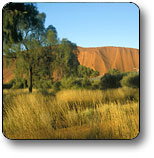 Atitjere NT Hotel NSW