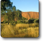 Uluru - Kata Tjuta National Park - Hotel NSW