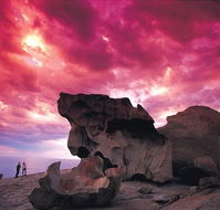 Kangaroo Island Adventure Tour 2 day/1 night - Hotel NSW