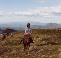 High Country Horses - Hotel NSW
