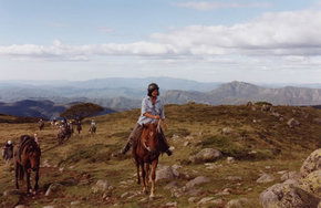 High Country Horses - Hotel NSW 0