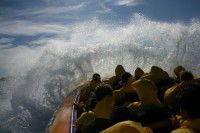 Jetboating Sydney - Hotel NSW 1