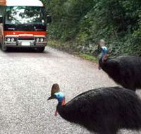 Kookaburra Tours - Hotel NSW