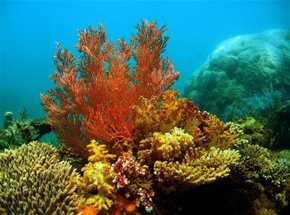 Exmouth Gulf WA Hotel NSW