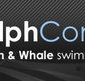 Dolphcom - Dolphin  Whale Swimming Adventures - Hotel NSW