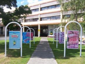 Cadbury Chocolate Factory Tour - Hotel NSW 2