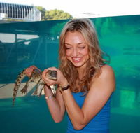 Crocosaurus Cove - Hotel NSW