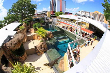 Crocosaurus Cove - Hotel NSW 1