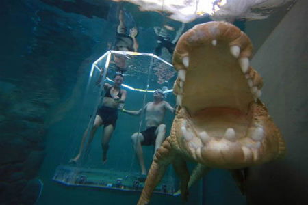 Crocosaurus Cove - Hotel NSW 3