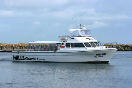 Mills Charters Fishing And Whale Watch Cruises - Hotel NSW 1