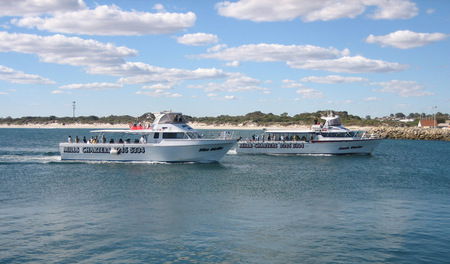 Mills Charters Fishing And Whale Watch Cruises - Hotel NSW 2