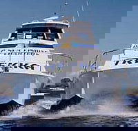 Sunshine Coast Fishing Charters - Hotel NSW