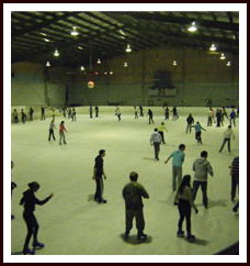 Bendigo Ice Stadium - Hotel NSW 1