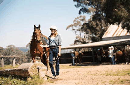 Watsons Trail Rides - Hotel NSW