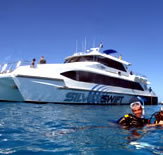 Silver Swift - Hotel NSW