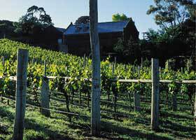 Goona Warra Vineyard - Hotel NSW 1