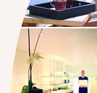 Lyall Hotel and Spa - Hotel NSW