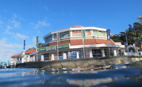 Manly SEA LIFE Sanctuary - Hotel NSW 2