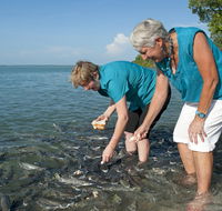 Aquascene Fish Feeding Sanctuary - Hotel NSW