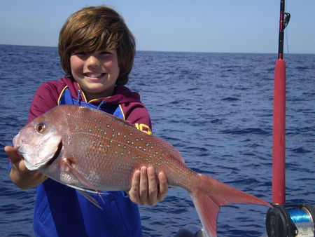 Mills Charters Fishing And Whale Watch Cruises - Hotel NSW 4