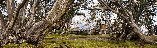 High Country Scenic Tours - Hotel NSW