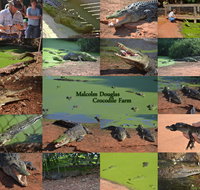 The Malcolm Douglas Crocodile Park - Hotel NSW