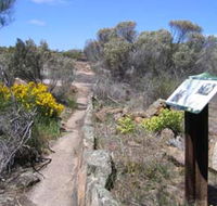 Christmas Rock Walk - Hotel NSW