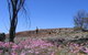Talgomine Reserve - thumb 0