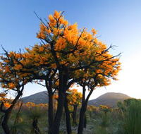 Cape Le Grand National Park - Hotel NSW