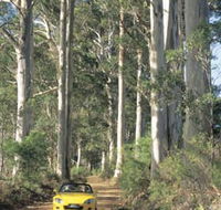 Mount Shadforth Scenic Drive - Hotel NSW