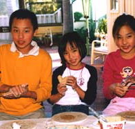 Peel Pottery - Hotel NSW