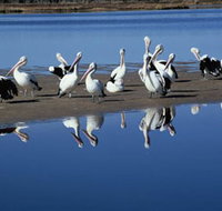 Peel Region Canoe Trails - Hotel NSW