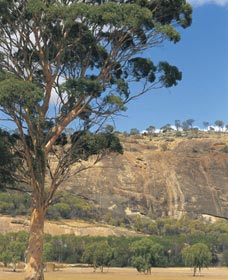 Mount Stirling - Hotel NSW 0